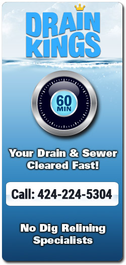 Los Angeles Blocked Drain